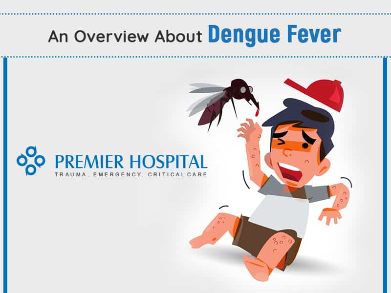 An Overview About Dengue Fever