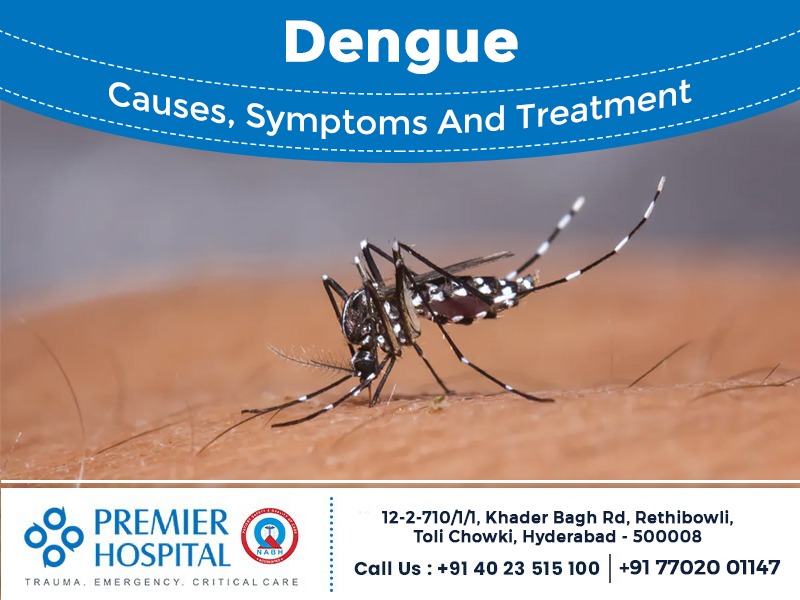 Dengue Causes, Symptoms and Treatment